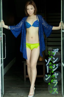 爸爸当家第三季